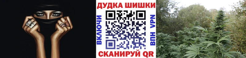 Бошки марихуана Amnesia купить наркотики сайты мега ТОР Среднеуральск